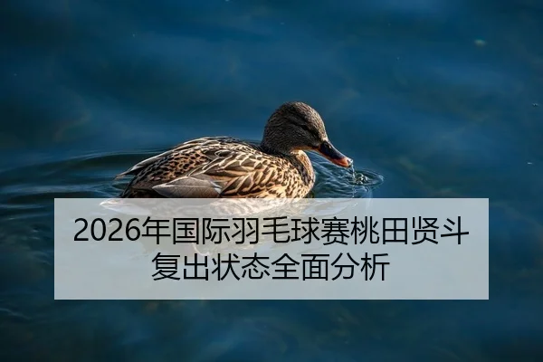 2026年国际羽毛球赛桃田贤斗复出状态全面分析