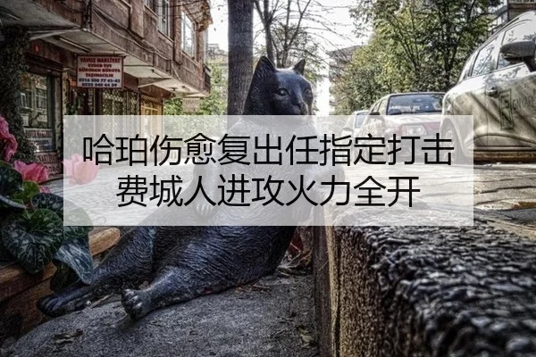 哈珀伤愈复出任指定打击 费城人进攻火力全开